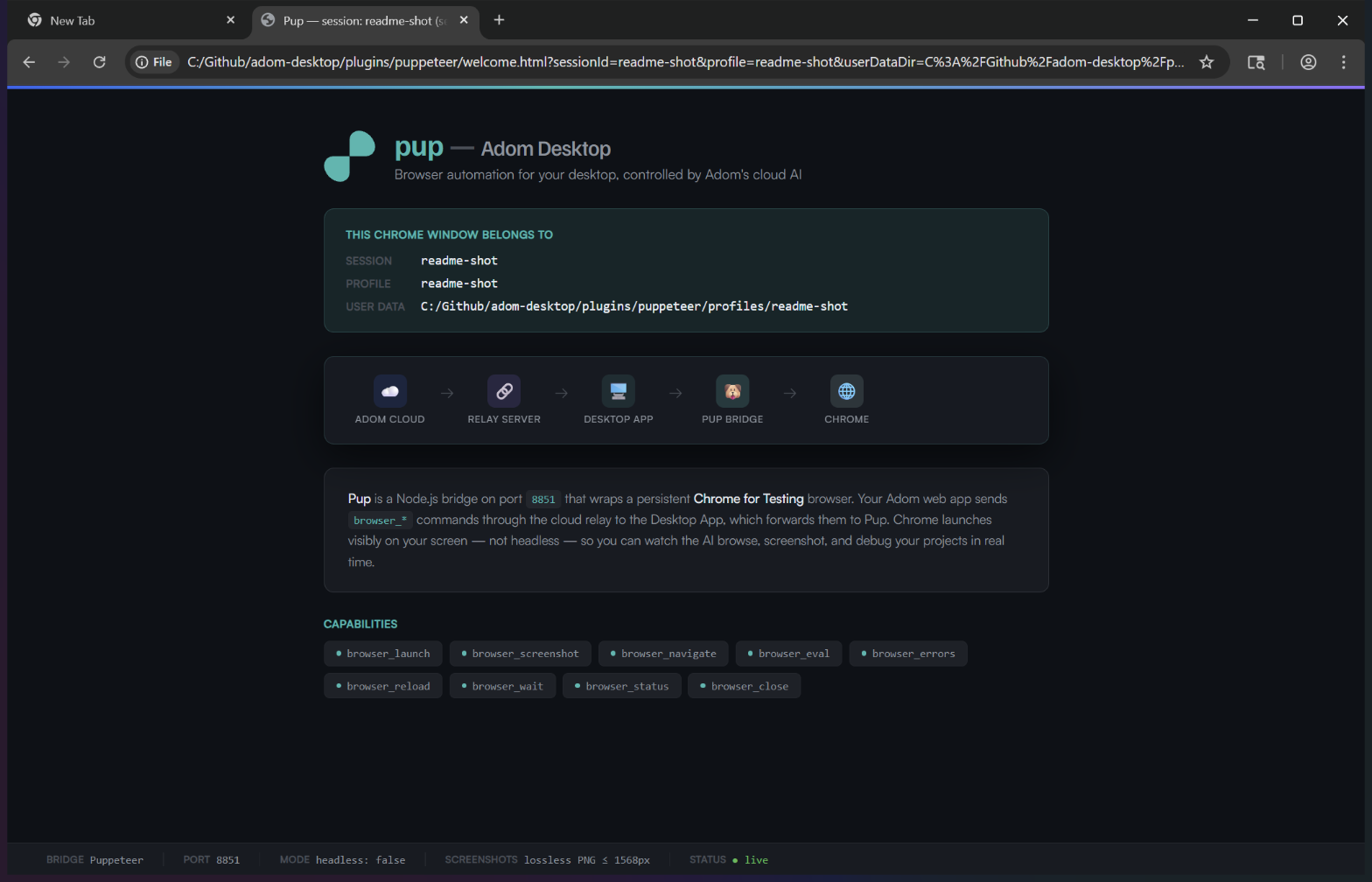 Pup (Puppeteer bridge): Claude controlled Chrome on the user's desktop from inside the Docker container, navigated, and sent back the rendered screenshot.